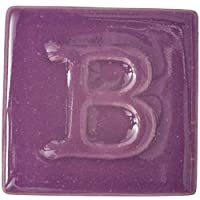 Botz Cerámica requisitos Esmalte líquido- 9477 Malva- 200 ML